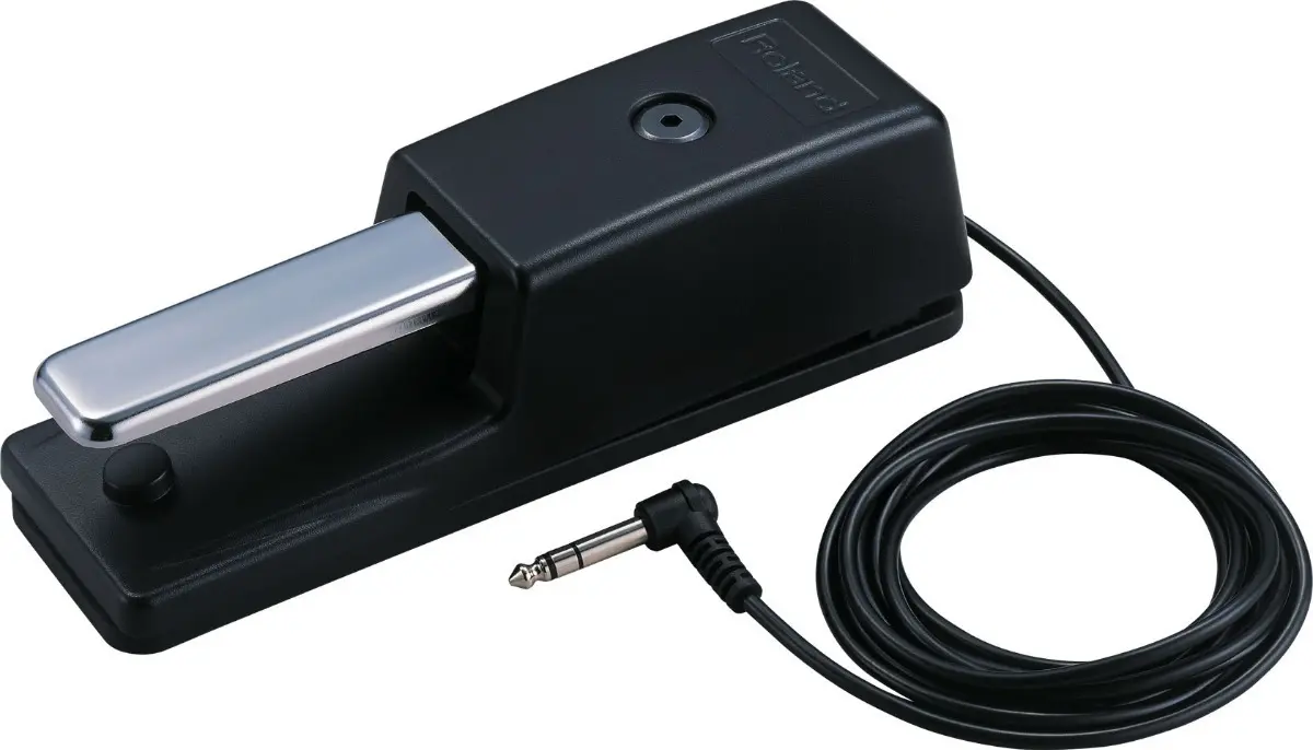 Pedal Sustain Roland DP10